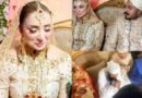 Social Media Influencer Dr Nabiha Ties The Knot Nikah Performed By Maulana Tariq Jamil
