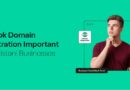 Why Pk Domain Registration Important For Pakistani Businesses