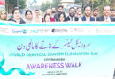 World Cervical Cancer Elimination Day Marked