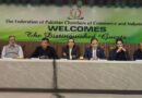 Cheap Power Or Economic Decline Fpccis Stark Warning To Govt