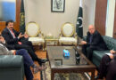Govt Seeks Italian Expertise To Strengthen Marble Industry