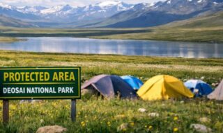 Hotels Commercial Activities Banned In Deosai National Park From Next Season