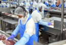 Pakistan All Set To Export 143000 Tons Of Halal Meat To Tajikistan