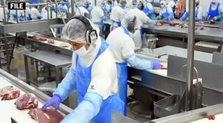 Pakistan All Set To Export 143000 Tons Of Halal Meat To Tajikistan