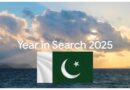 What Pakistanis Searched Most In How To Category On Google In 2025