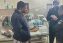 8 Year Old Boys Arm Amputated After Pet Lion Attack In Lahore