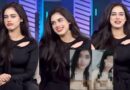 Alina Amir Video Leak Who Is Behind Mms Controversy Of Tiktok Star