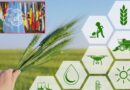 Fao Brings Global Spotlight To Pakistans Dairy Olive Sectors At Islamabad Summit