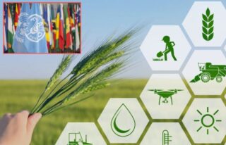 Fao Brings Global Spotlight To Pakistans Dairy Olive Sectors At Islamabad Summit