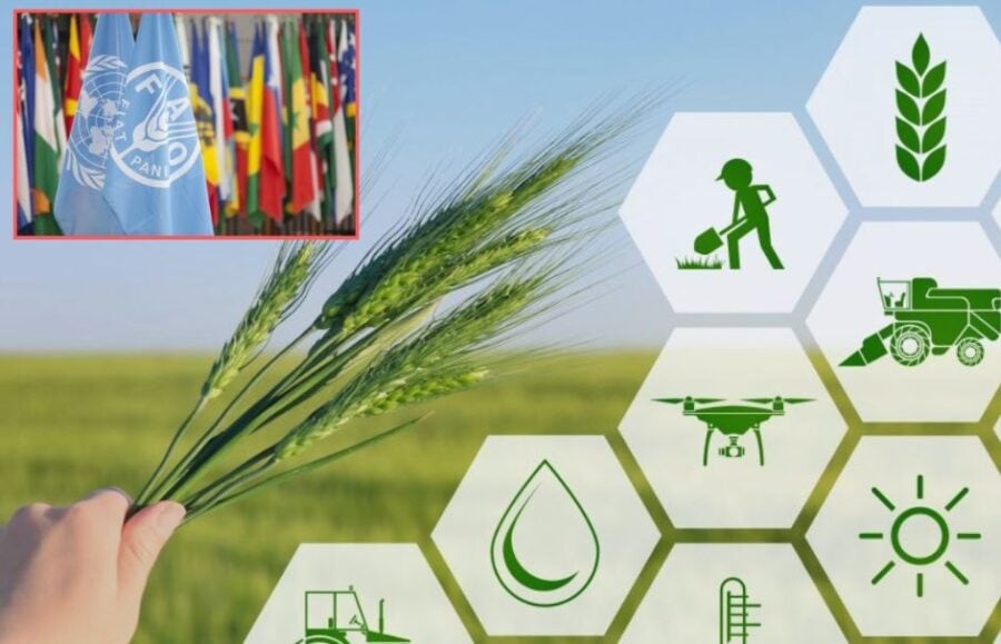 Fao Brings Global Spotlight To Pakistans Dairy Olive Sectors At Islamabad Summit