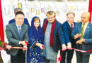 Hero Mudan Pak China Exhibition Showcases Art As Language Of Pluralism
