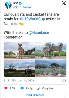 Icc U 19 World Cup Trophy Photo Shoot With Cheetahs Goes Viral 