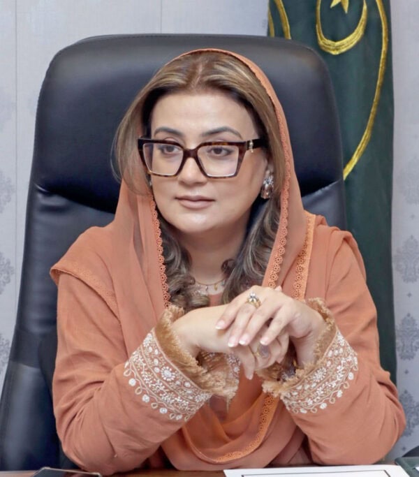 Maryam Nawaz Sharifs Punjab Model E Governance A Corruption Free System