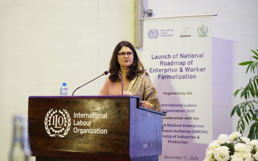 Nadia Jahangir Seth Appointed Smeda Ceo For Three Years