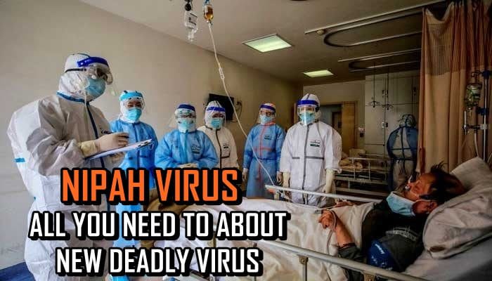 Nipah Virus Alert; Watch out for THESE Warning Signs amid recent outbreak