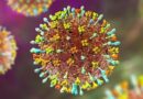 Nipah Virus Threat Pakistan Issues Latest Alert To Prevent Possible Outbreak