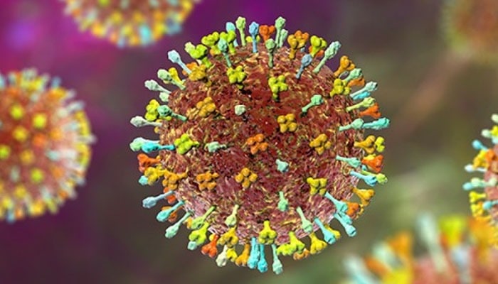 Nipah virus threat: Pakistan issues latest alert to prevent possible outbreak