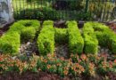 Pha Orders New District Agencies To Prepare Horticulture Launch Plans