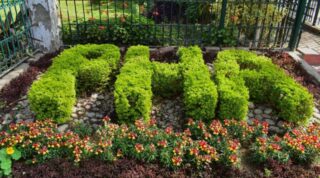 PHA orders new district agencies to prepare horticulture launch plans