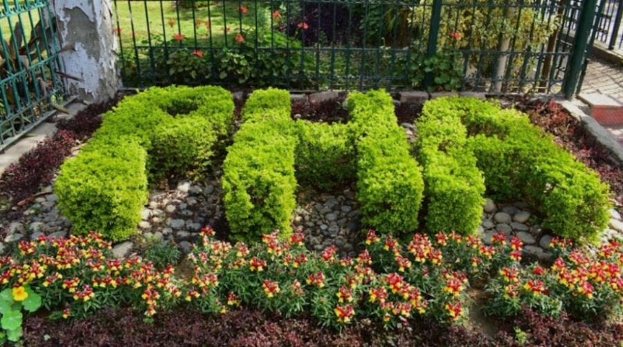 Pha Orders New District Agencies To Prepare Horticulture Launch Plans