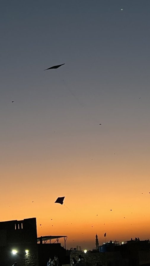 Basant 2026 In Pictures 