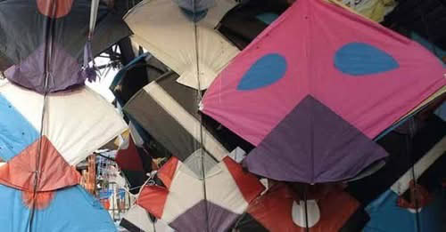 Basant 2026: DC Lahore shares update on kite, pinna prices