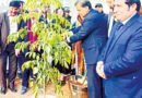 Cda Npc Launch Spring Tree Plantation Drive In Islamabad
