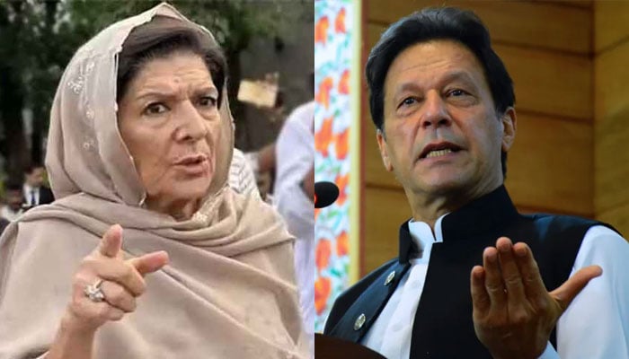 Imran Khan Has Sent A Message That He Cannot See Claims Aleema Khan