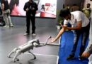 Indian University Suffers Humiliation For Passing Off Chinese Robot As Indigenous At Ai Summit
