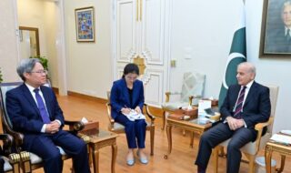 Pm Assures All Out Protection For Chinese Personnel In Meeting With Ambassador Zaidong