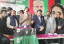 Ppp Revived In Punjab Says Governor