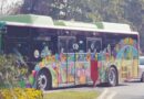 Public In Lahore To Get Free Transport Amid Basant Celebrations