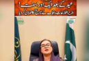 Punjab Announces Official Date Of Next Basant Festival