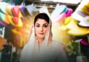 Punjab Cm Cancels Basant Festivities After Deadly Islamabad Suicide Bombing