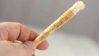 Ramadan 2026 Can Miswak Be Used While Fasting