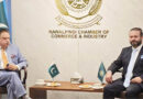 Steel Traders Delegation Meets Rcci Leadership To Boost Trade