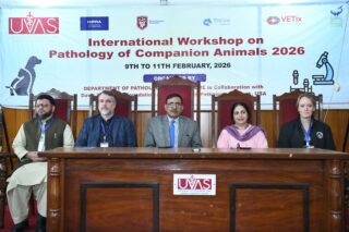 Workshop On Pathology Of Companion Animals Concludes