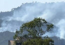 After Fire Causes Enormous Loss Cda Takes Steps To Restore Greenery Over Margalla Hills
