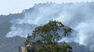After Fire Causes Enormous Loss Cda Takes Steps To Restore Greenery Over Margalla Hills