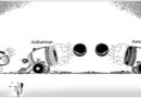 Daily Cartoon 01 03 2026
