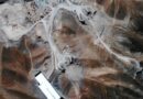 Isfahan Hit By 2000 Pound Bunker Buster Bomb As Iran Israel Tensions Escalate