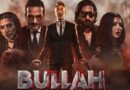 Pakistani Film Bullah Grosses Over Rs23 6 Million In First Two Days