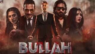 Pakistani Film Bullah Grosses Over Rs23 6 Million In First Two Days