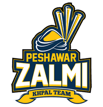 Psl Peshawar Zalmi.png