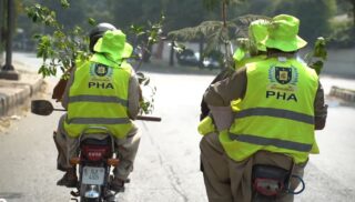 Want Free Plants At Home Heres How Lahore Citizens Can Get Them 