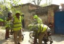 Want Free Plants At Home Heres How Lahore Citizens Can Get Them