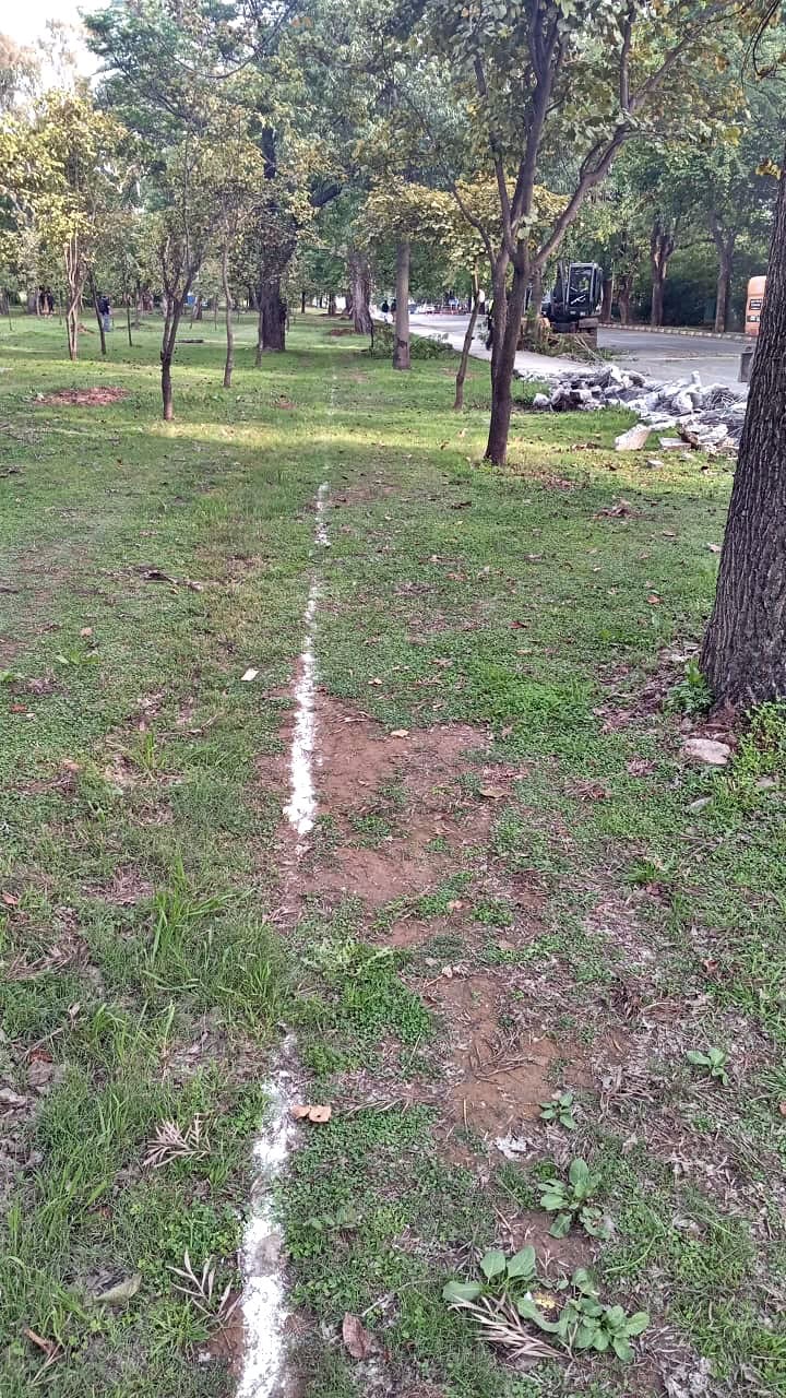 Green Islamabad Under Threat As Tree Cutting For Ataturk Avenue Project Sparks Public Fury 