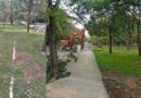 Green Islamabad Under Threat As Tree Cutting For Ataturk Avenue Project Sparks Public Fury