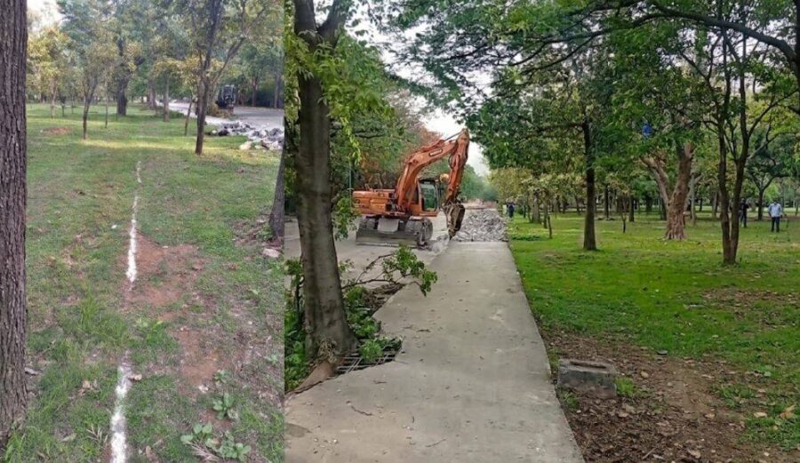 Green Islamabad Under Threat As Tree Cutting For Ataturk Avenue Project Sparks Public Fury