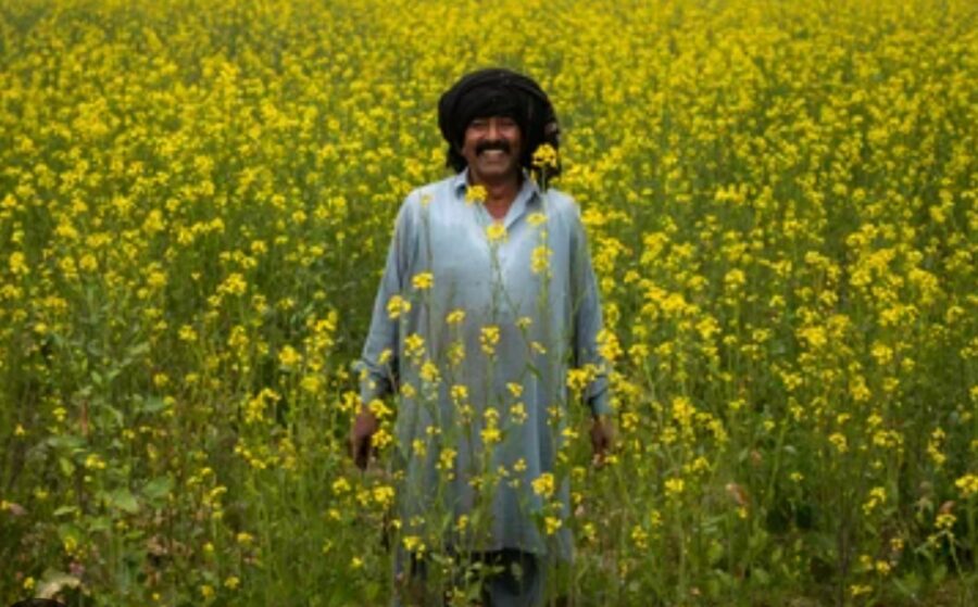 Punjab Rolls Out Apna Khet Apna Rozgar To Empower Landless Farmers
